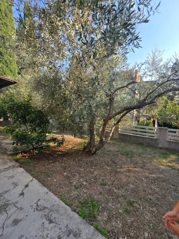 Apartman Maroko – fotografija 4