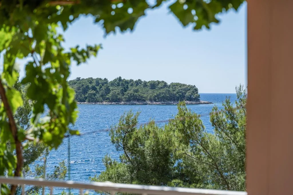 Apartman Maja – fotografija 4