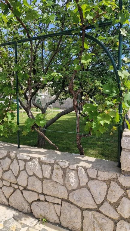 Apartmani Guest House Gordana – fotografija 6