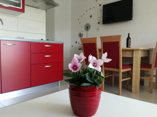 A2+2 – fotografija 2