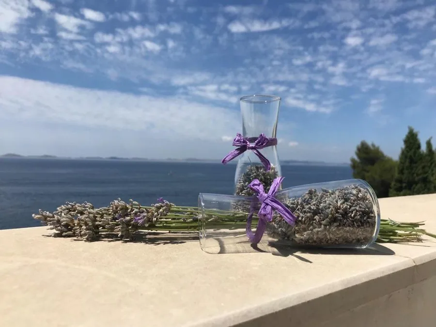 Apartmani Silvano – fotografija 2