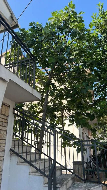 Apartmani Leyla – fotografija 2