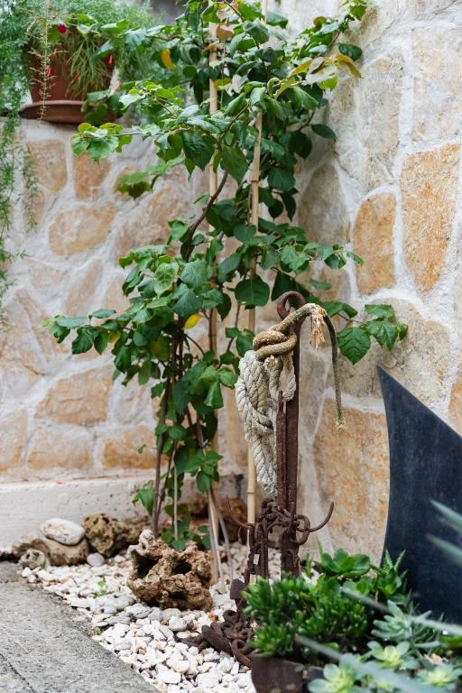 Apartmani Hojsak – fotografija 6