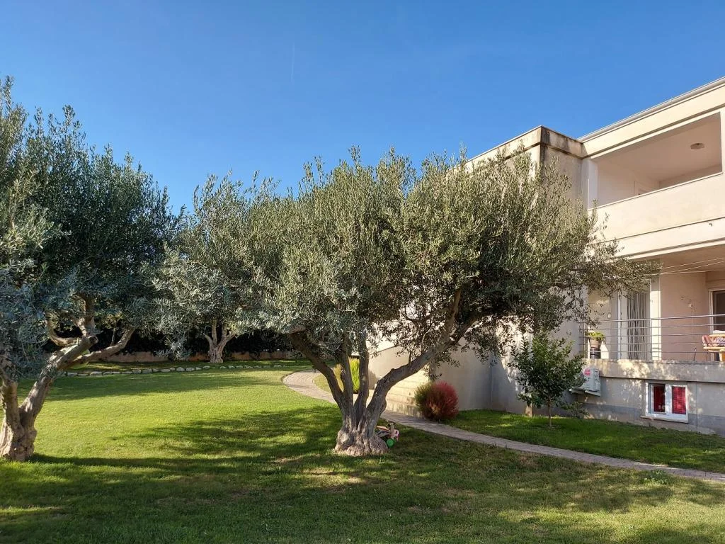 Apartmani Bruna – fotografija 5
