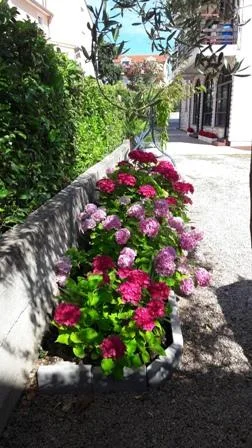Apartmani Dijana – fotografija 4