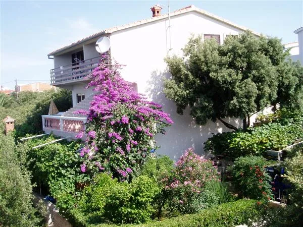 Apartmani Ibis – fotografija 2