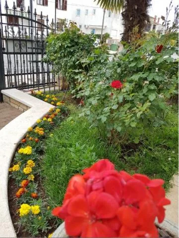 Apartmani Aida – fotografija 4
