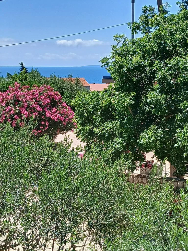 Apartmani Dabo – fotografija 5