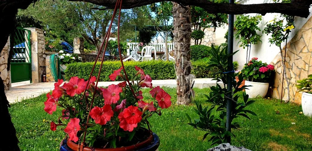 Apartmani Marko – fotografija 5