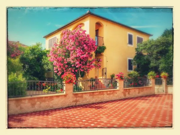 Apartmani Viola – fotografija 2