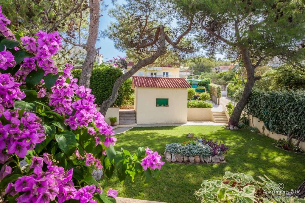 Apartmani Zizic – fotografija 5