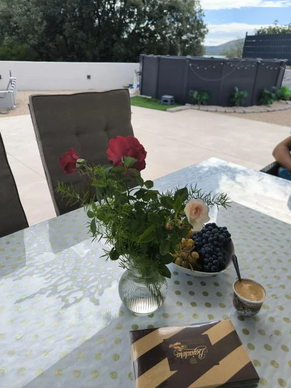 Labudica – fotografija 6