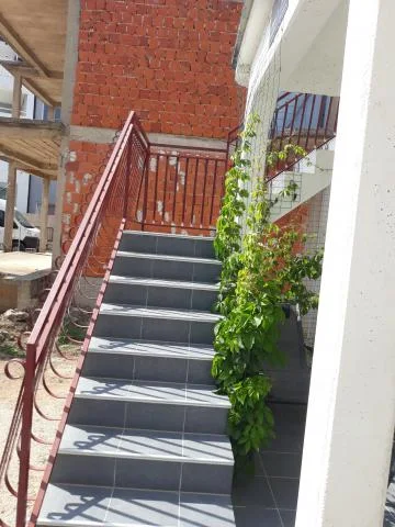 Apartmani Živko – fotografija 4
