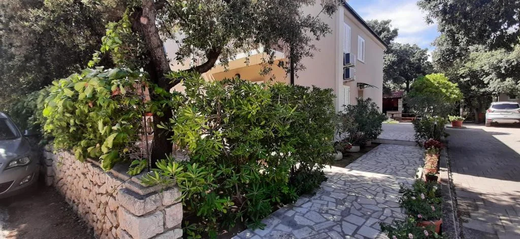 Apartmani Branka – fotografija 6