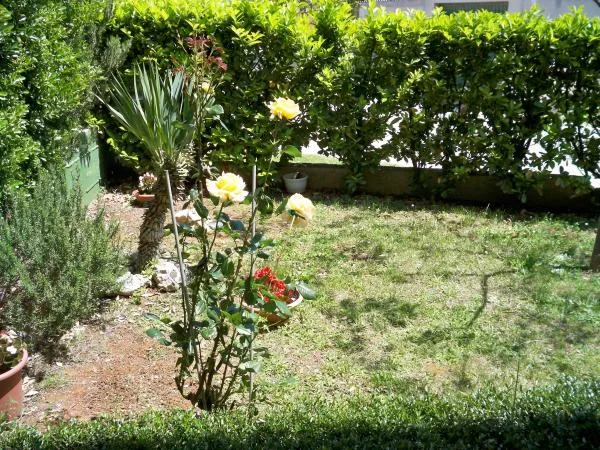 Apartmani Roberto – fotografija 6