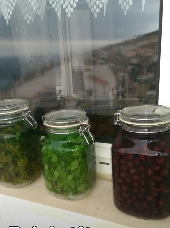 Apartmani Lucija – fotografija 6