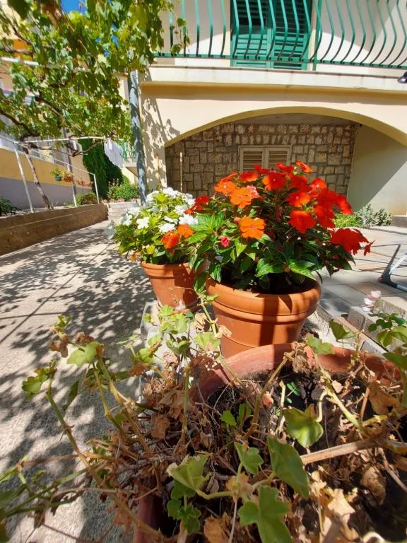 Apartmani Ivan – fotografija 3