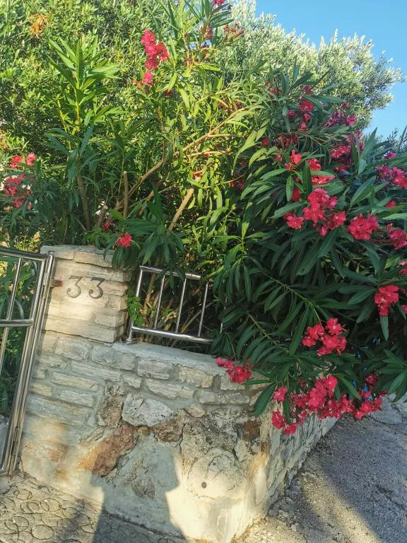 Apartmani Igor – fotografija 2