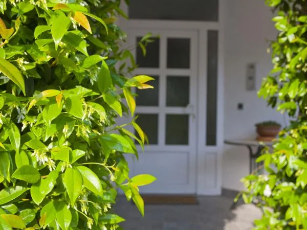Apartmani Nikolic – fotografija 3