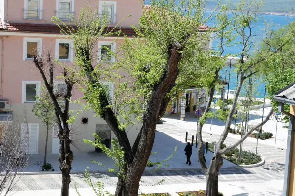 Apartmani Vila Angelina – fotografija 4