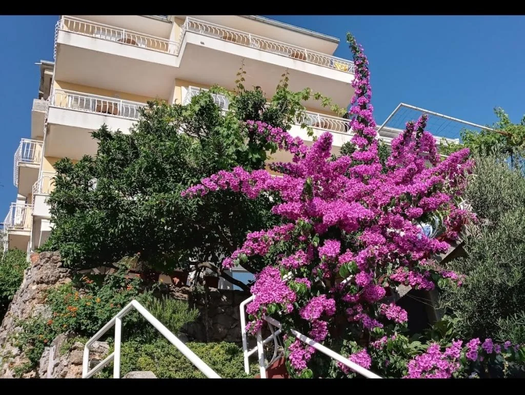 Apartmani Villa Skala – fotografija 4
