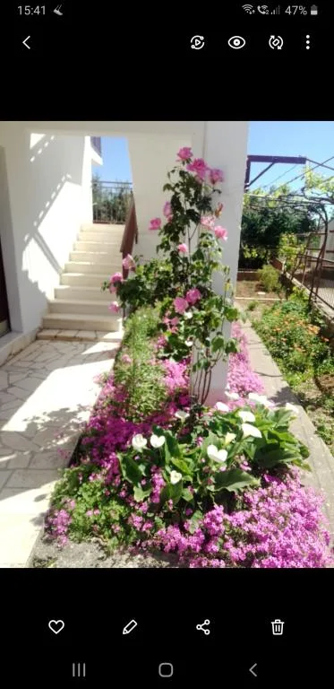 Apartmani Frano – fotografija 2