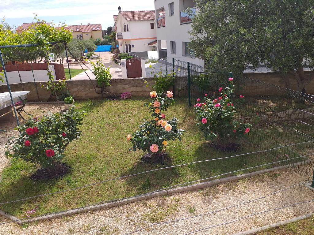 Apartmani Josipa & Niki – fotografija 4