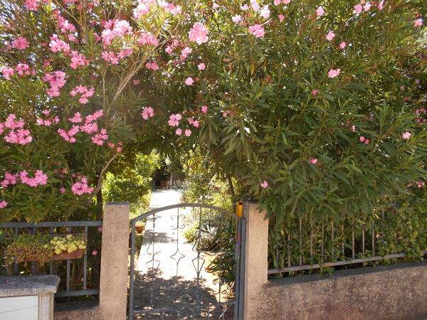 Apartmani Leo – fotografija 5