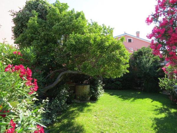 Apartmani Tea – fotografija 1