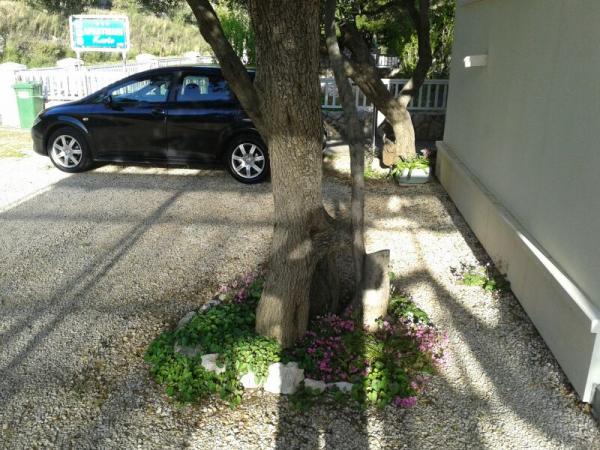 Apartmani Karlo – fotografija 6