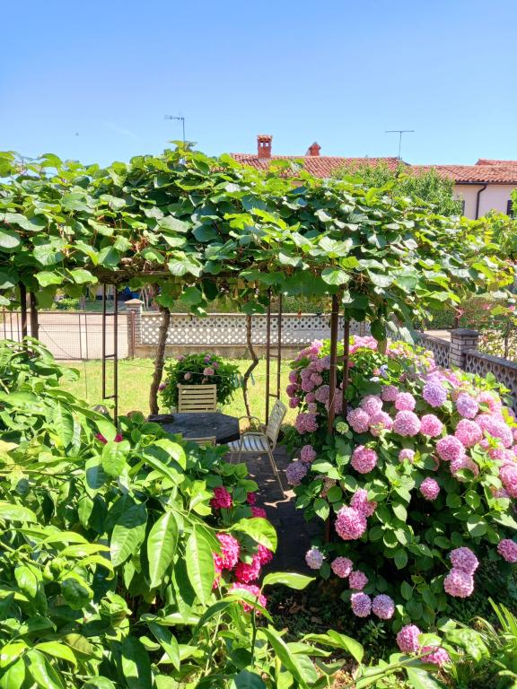 Apartmani Tea – fotografija 6