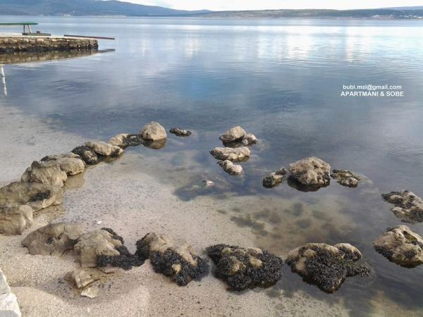 Apartmani Bubi – fotografija 4