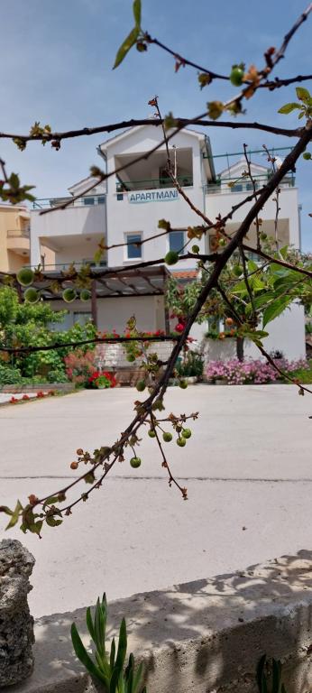 Apartmani Agata – fotografija 2