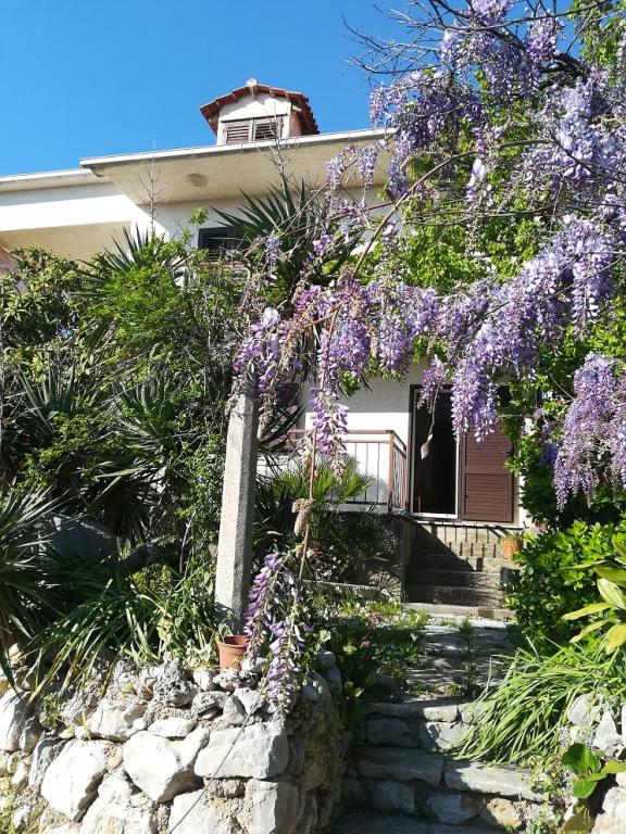 Apartmani Mali Raj – fotografija 3