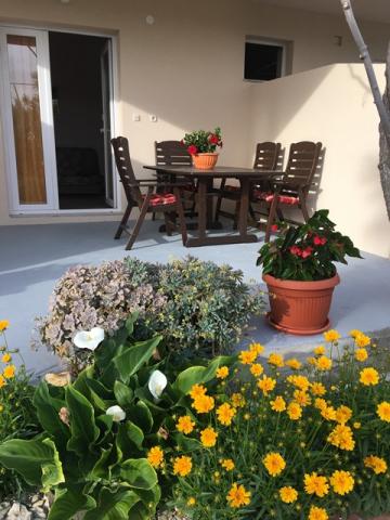 Apartmani Jasa – fotografija 4