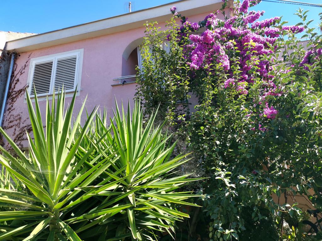 Apartmani Ana – fotografija 6
