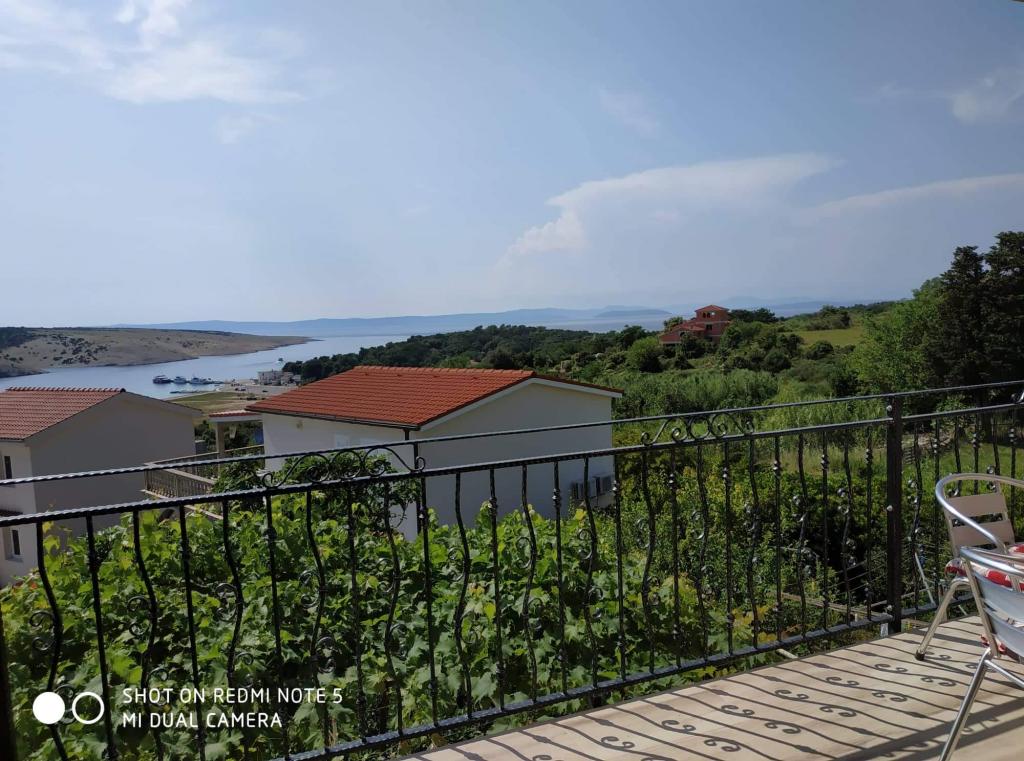 Apartmani Patalic – fotografija 2