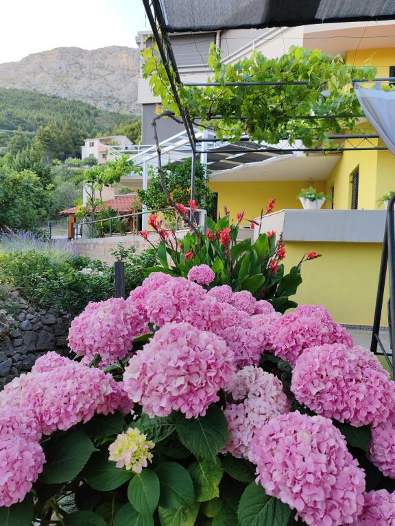 Apartmani Zvjezdana – fotografija 5