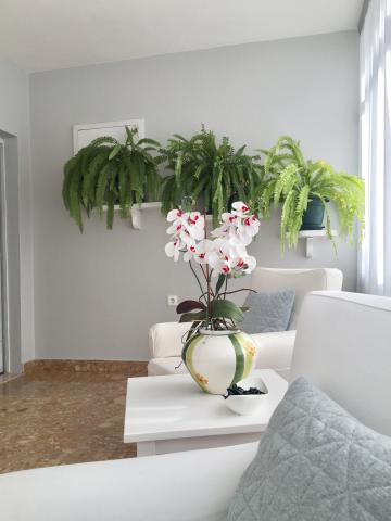 Apartmani Ljubica – fotografija 5