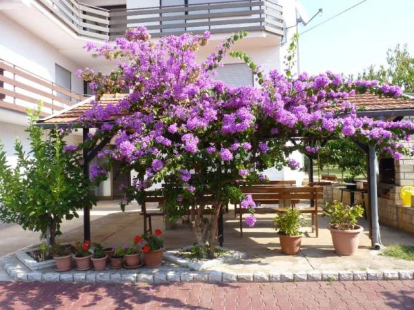 Apartmani Denis – fotografija 2
