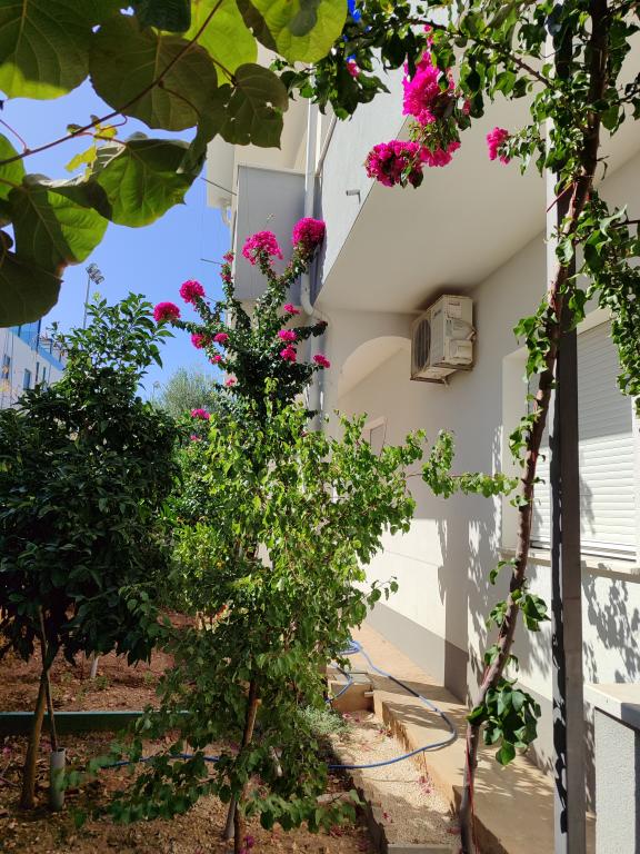 Apartmani Sikirica – fotografija 5