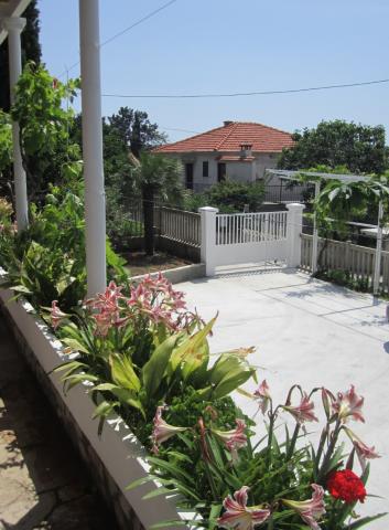 Apartmani Mare – fotografija 4