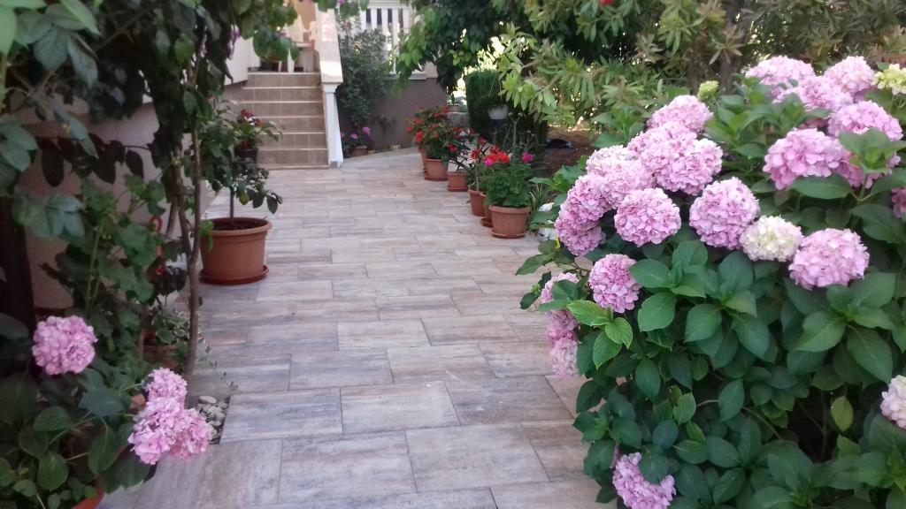 Apartmani Marina – fotografija 3