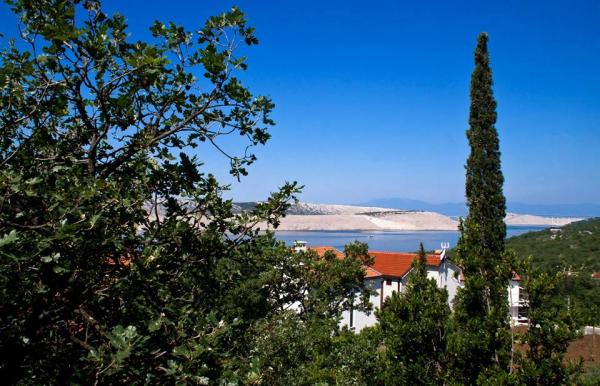 Apartmani Vives – fotografija 6