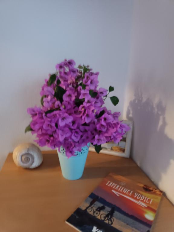 Apartmani Amarilis – fotografija 5