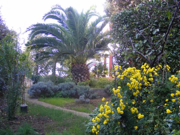 Apartmani Villa Nikolina – fotografija 4