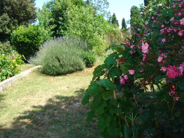 Apartman Zorica – fotografija 4