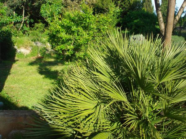 Apartman Zorica – fotografija 5
