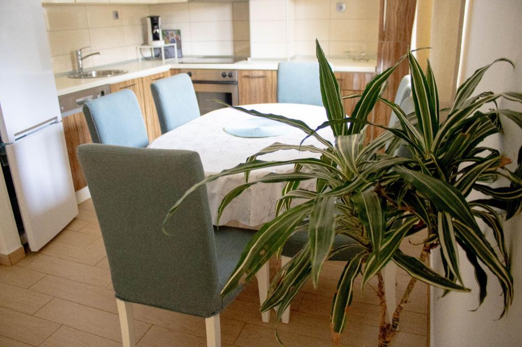 Apartmani Došen – fotografija 5