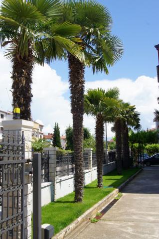 Apartmani Modrusan – fotografija 5